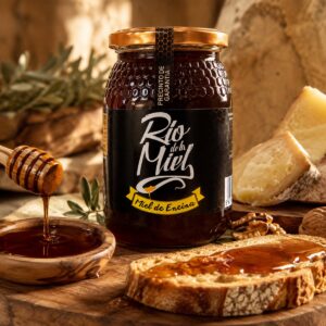 Miel de encina Río de la Miel servida con pan, queso curado, nueces y cucharilla mielera