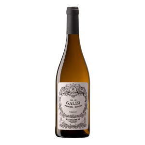 Val do Galir Godello Valdeorras 2024 Vino Blanco 750 ml