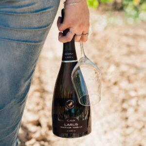 Cava Brut Nature Reserva Rara Avis Larus 2022 U Mes U con copa de vino en viñedo