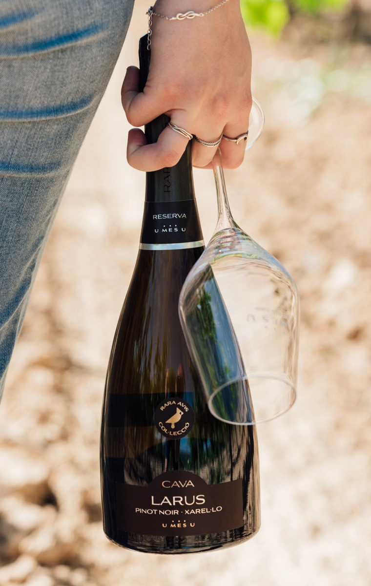 Cava Rara Ave Larus Reserva · Pinot Noir y Xarel·lo cava rara ave larus pinot noir xarel·lo reserva organico