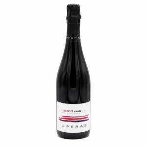 Lambrusco di Modena DOP Brut Opera02 75 cl en botella