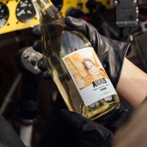 vino anais muscat u mes u penedès botella en cabina avión inspiración vuelo
