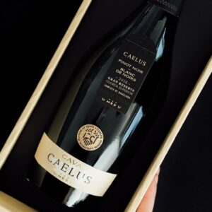 cava caelus pinot noir 2016 presentacion en caja regalo brut nature
