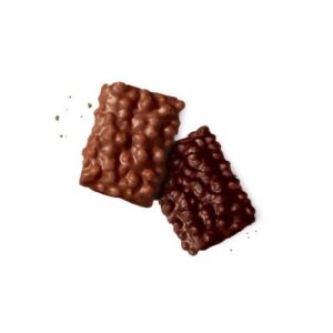 Galletas belgas con chocolate Jules Destrooper 100g