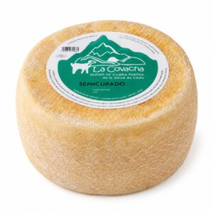 Queso Payoya semicurado La Covacha de cabra payoya en pieza entera sobre fondo blanco
