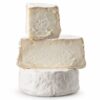 Queso de oveja Odre Can Pujol cortado en bloques con textura cremosa sobre fondo blanco