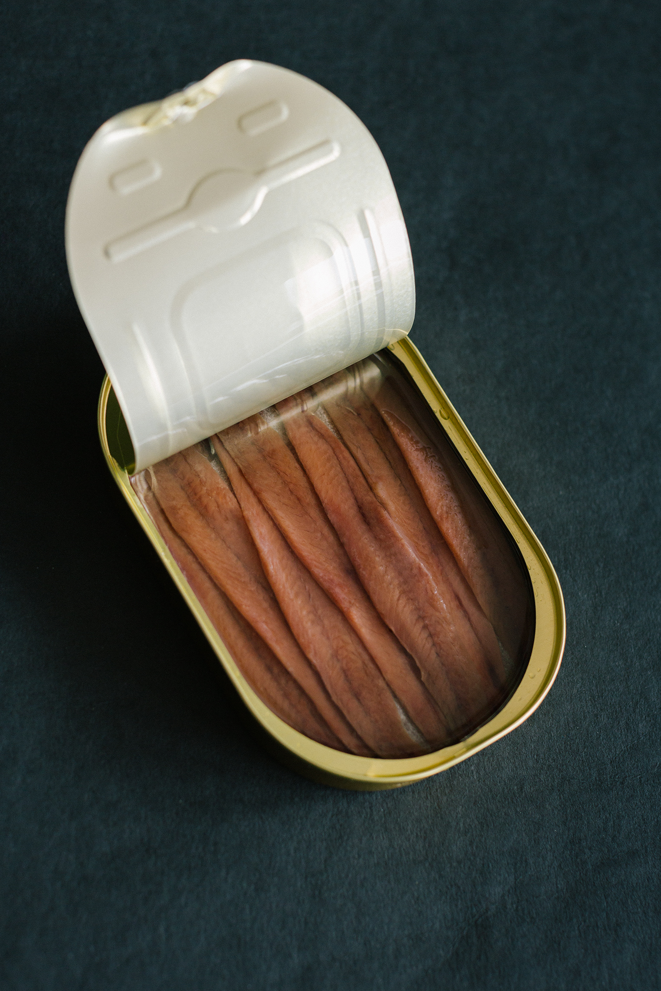 Anchoas Premium del Cantábrico en Aceite de Oliva — Lata Abierta | Conservas Catalina Lata abierta de anchoas Premium del Cantábrico en aceite de oliva con filetes enteros alineados artesanalmente.