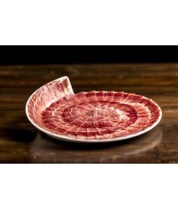 Jamón ibérico loncheado en plato con presentación gastronómica