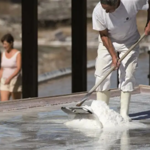recolección artesanal de flor de sal en añana salinero recogiendo escamas a mano