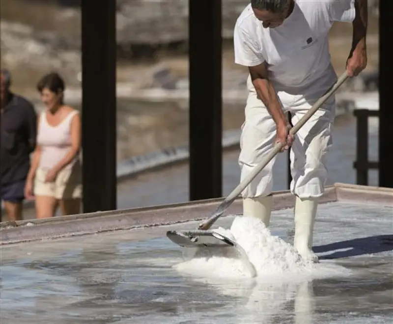 Recolección artesanal de Flor de Sal en Escamas de Añana recolección artesanal de flor de sal en añana salinero recogiendo escamas a mano