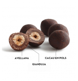 Gianduja BUBÓ Barcelona · Detalle Interior Avellana Gianduja BUBÓ Barcelona corte interior con avellana entera y capa de chocolate con cacao en polvo