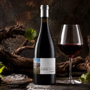 Vino Tinto Cataluña